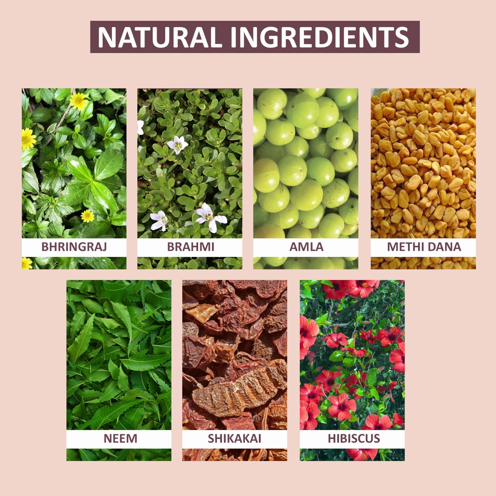 Hair Vitalizer Oil - Image 5