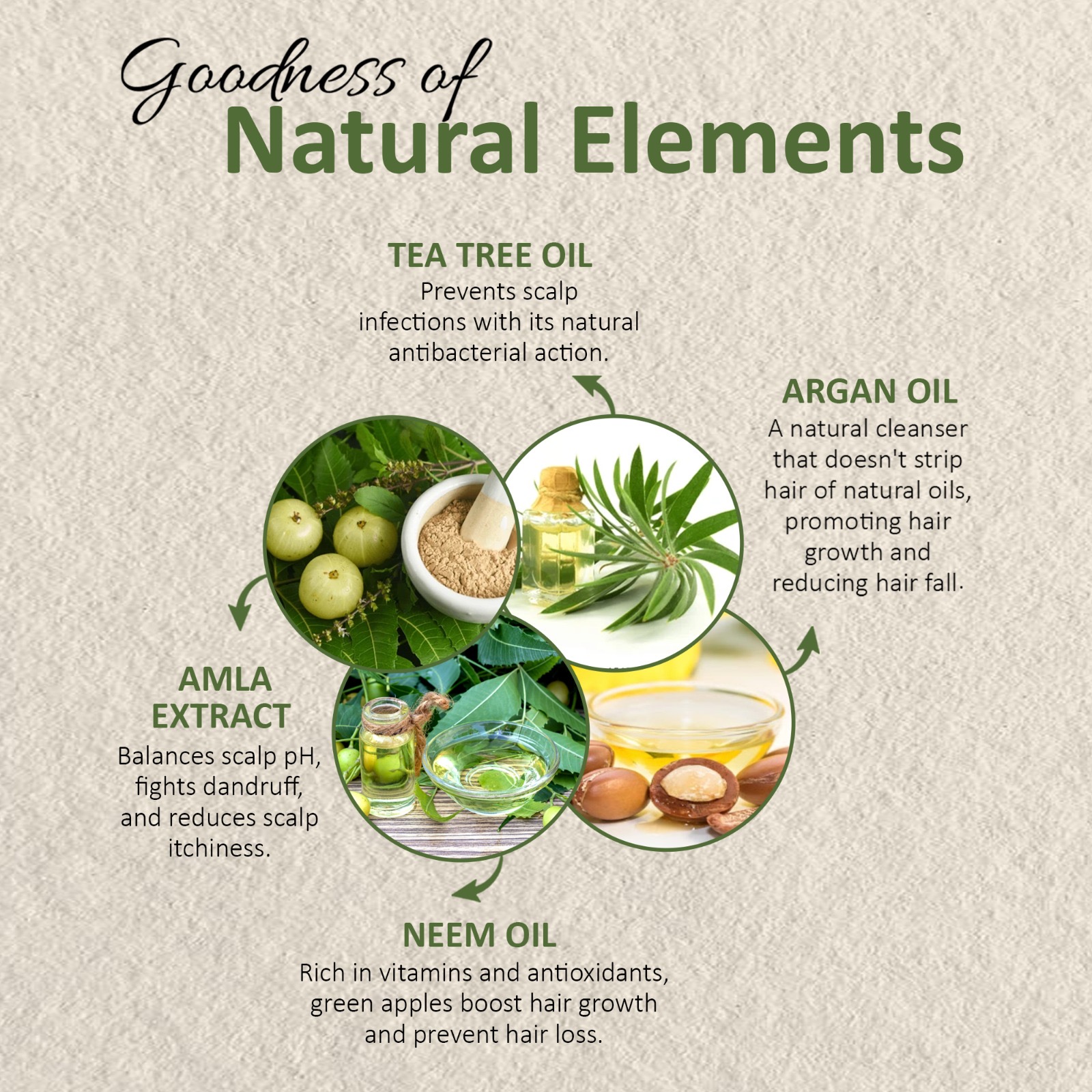 Biotin & Peptide Dandruff Shampoo - Image 7